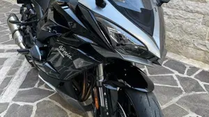 Kawasaki Ninja 1000 SX (2021 - 24)  (7)