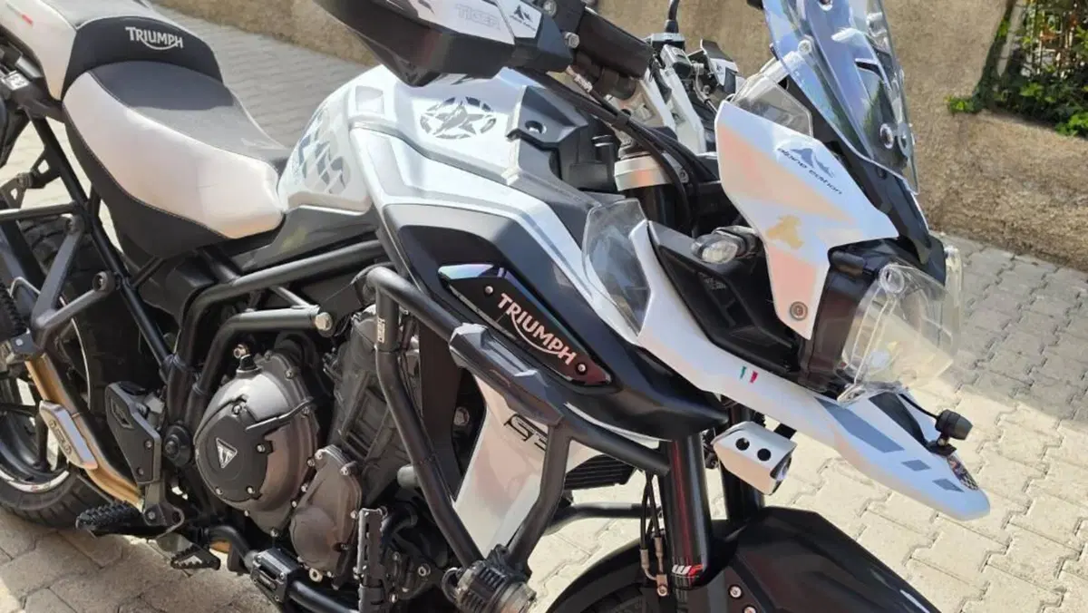 Triumph Tiger 1200 Alpine Edition (2020)  (3)
