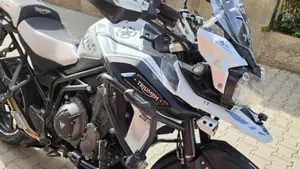 Triumph Tiger 1200 Alpine Edition (2020)  (3)