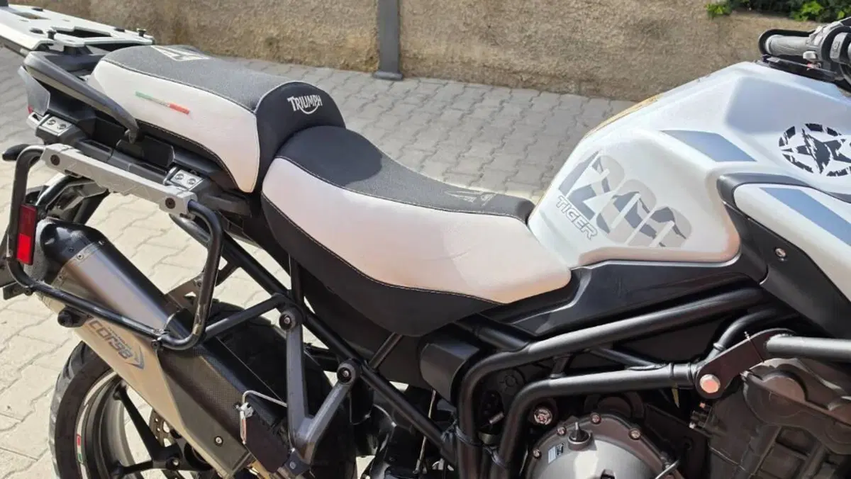Triumph Tiger 1200 Alpine Edition (2020)  (4)