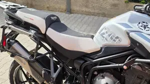 Triumph Tiger 1200 Alpine Edition (2020)  (4)