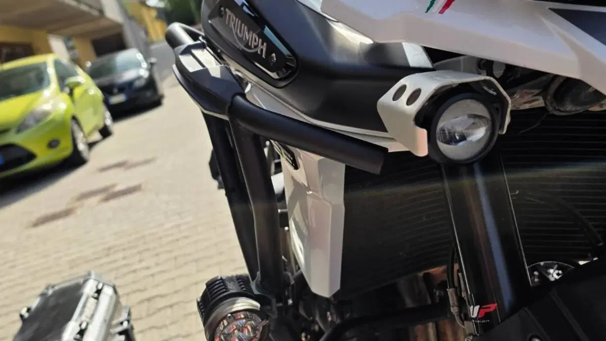 Triumph Tiger 1200 Alpine Edition (2020)  (6)