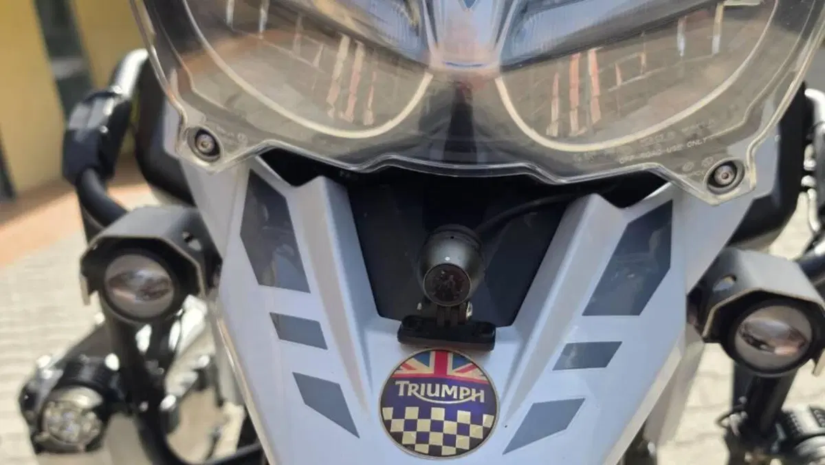 Triumph Tiger 1200 Alpine Edition (2020)  (7)