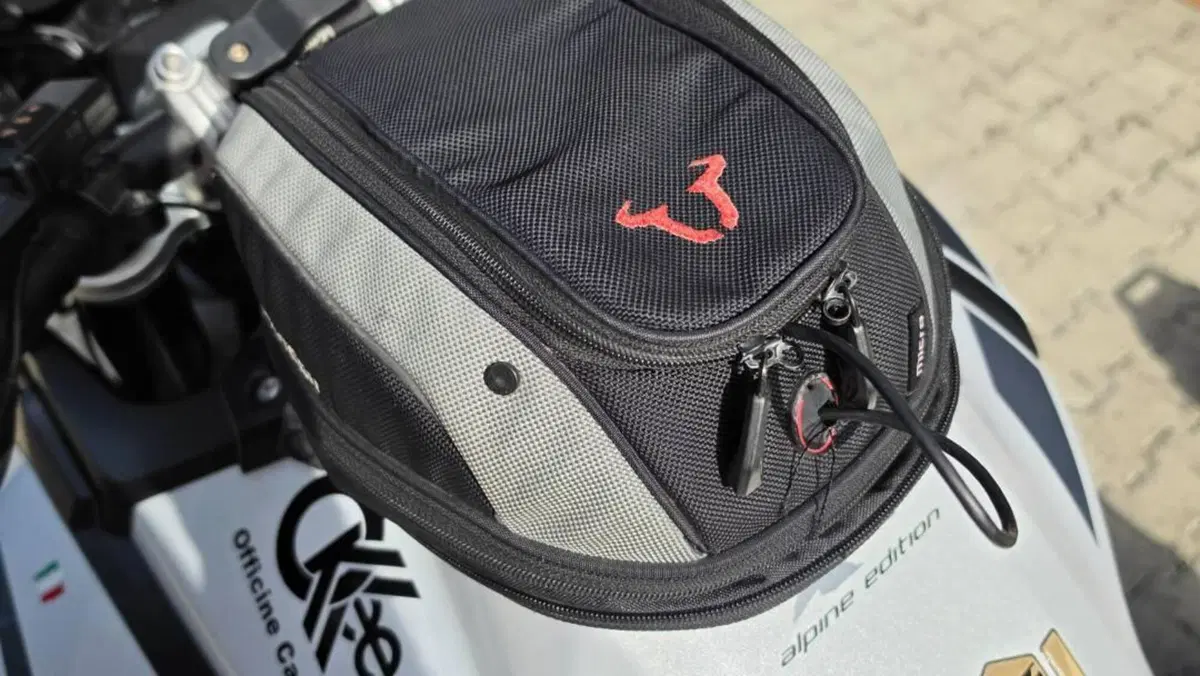 Triumph Tiger 1200 Alpine Edition (2020)  (10)