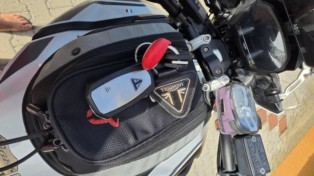 Triumph Tiger 1200 Alpine Edition (2020)  (11)