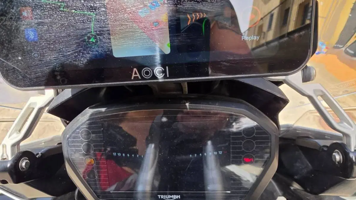 Triumph Tiger 1200 Alpine Edition (2020)  (12)