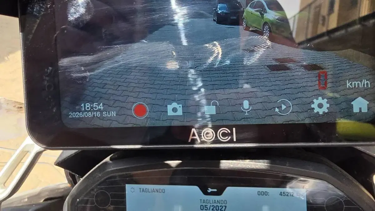 Triumph Tiger 1200 Alpine Edition (2020)  (16)