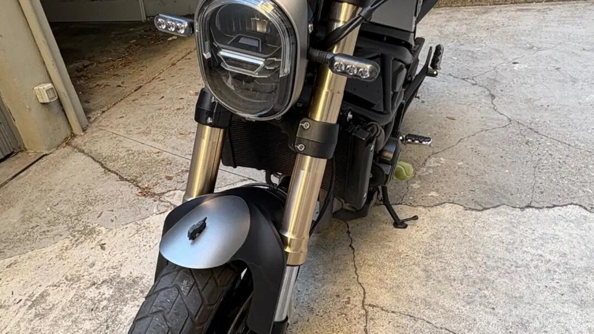 Benelli Leoncino 800 (2022 - 26)  (2)