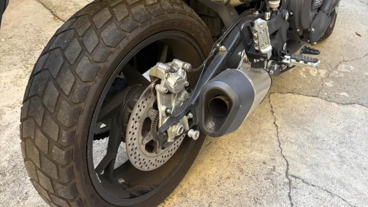 Benelli Leoncino 800 (2022 - 26)  (3)