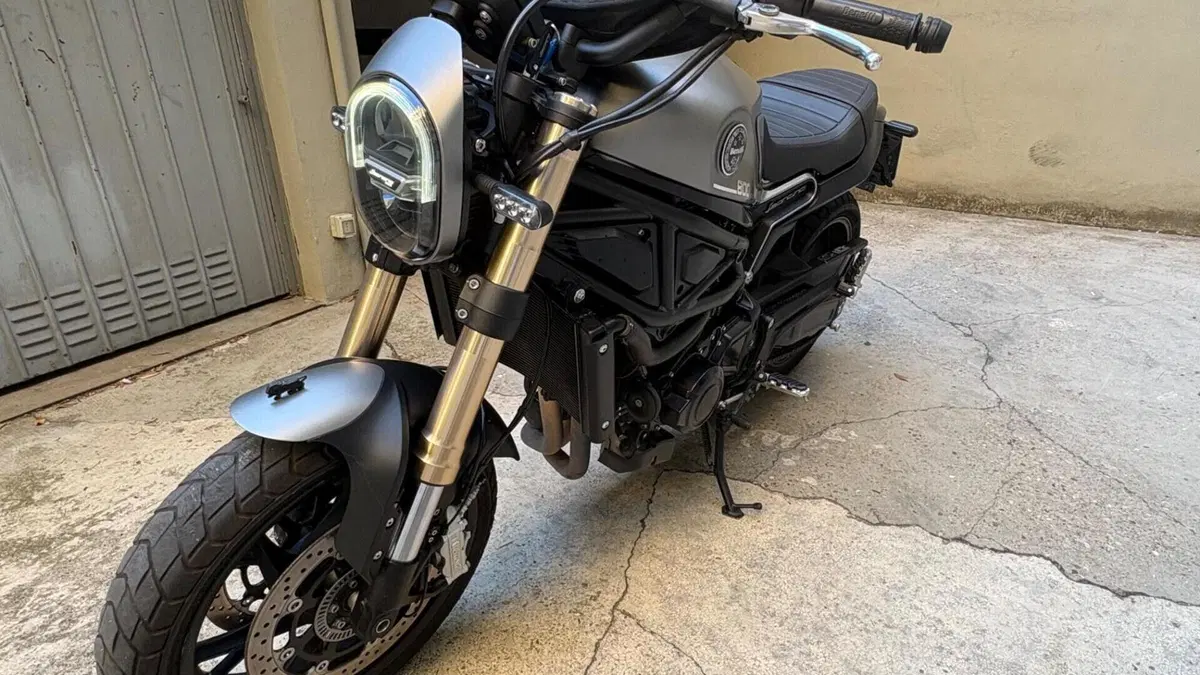 Benelli Leoncino 800 (2022 - 26)  (4)