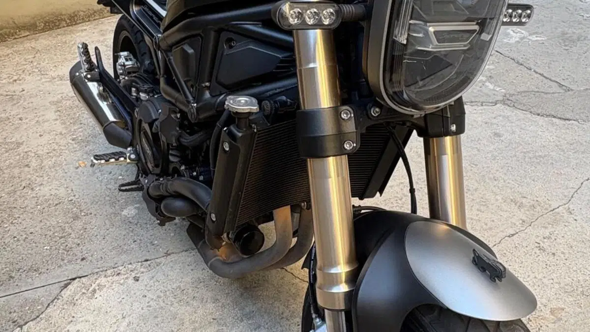 Benelli Leoncino 800 (2022 - 26)  (5)