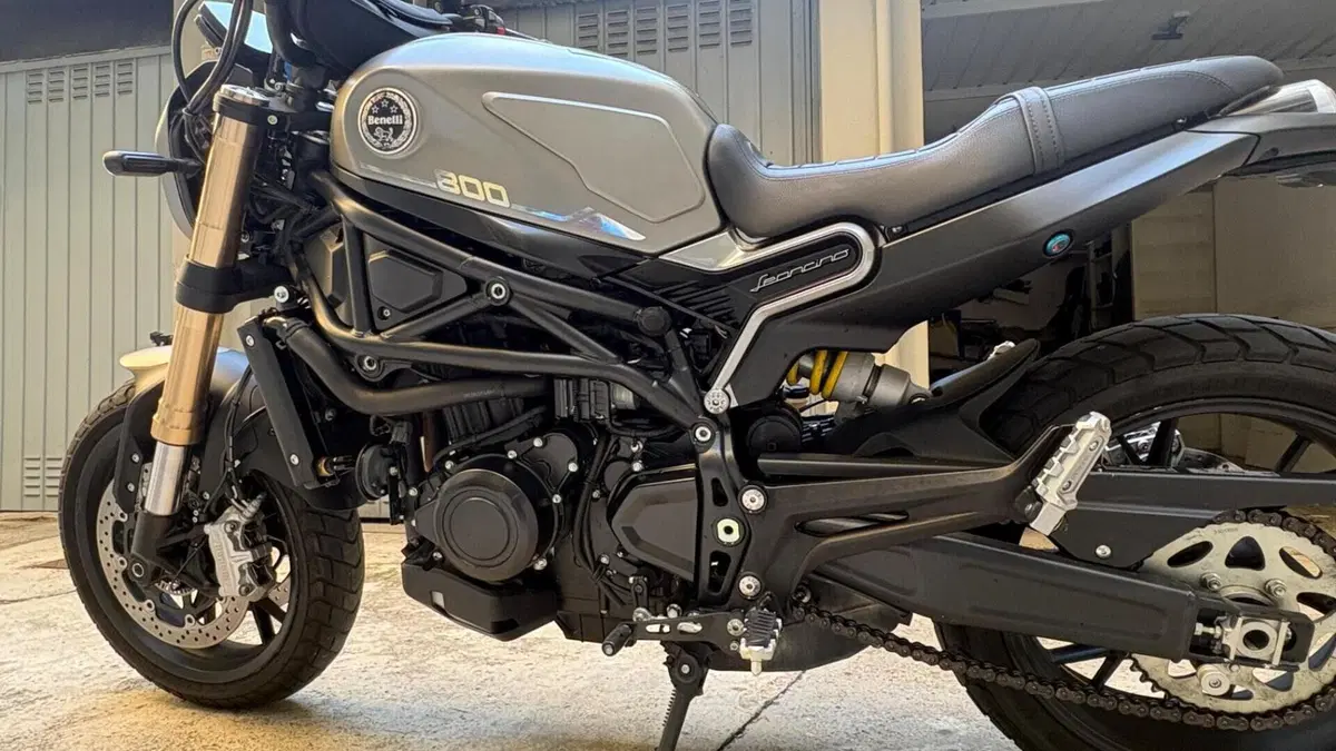 Benelli Leoncino 800 (2022 - 26)  (8)