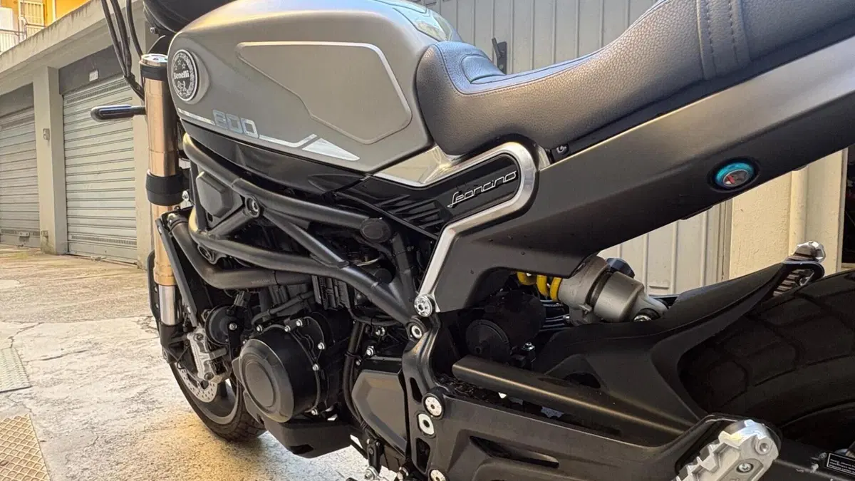 Benelli Leoncino 800 (2022 - 26)  (10)