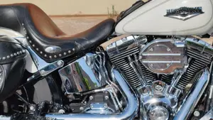 Harley-Davidson 1584 Heritage Classic (2008 - 10) - FLSTC  (2)