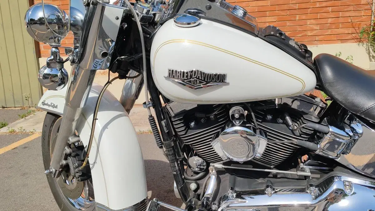 Harley-Davidson 1584 Heritage Classic (2008 - 10) - FLSTC  (5)