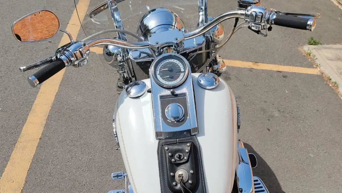 Harley-Davidson 1584 Heritage Classic (2008 - 10) - FLSTC  (6)