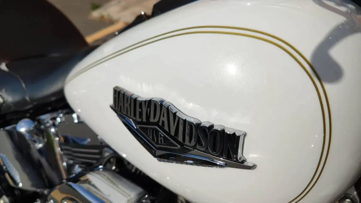 Harley-Davidson 1584 Heritage Classic (2008 - 10) - FLSTC  (12)