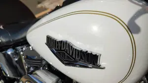 Harley-Davidson 1584 Heritage Classic (2008 - 10) - FLSTC  (12)