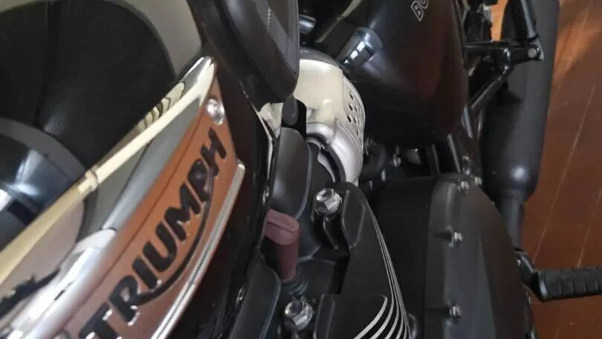 Triumph Bonneville T100 Black (2017 - 20)  (8)