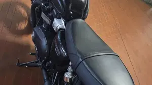 Triumph Bonneville T100 Black (2017 - 20)  (9)