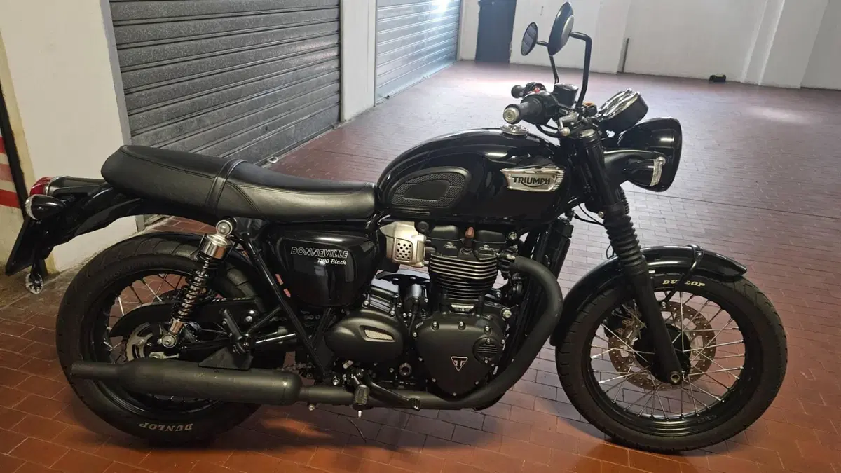 Triumph Bonneville T100 Black (2017 - 20)  (10)