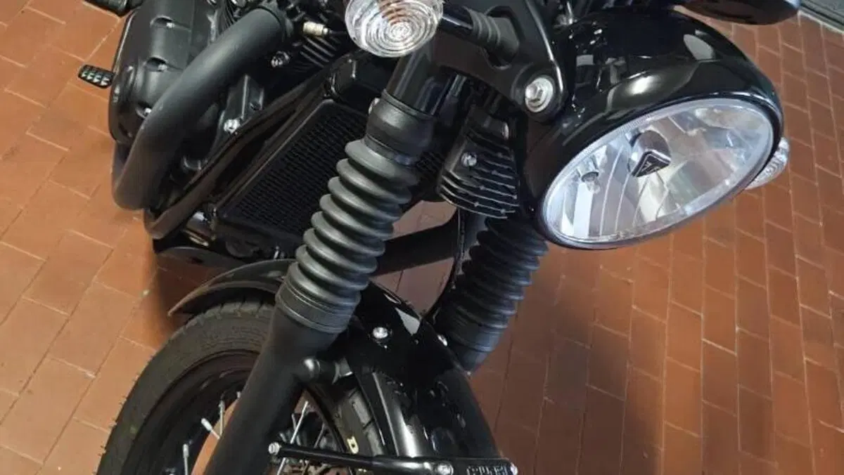 Triumph Bonneville T100 Black (2017 - 20)  (11)