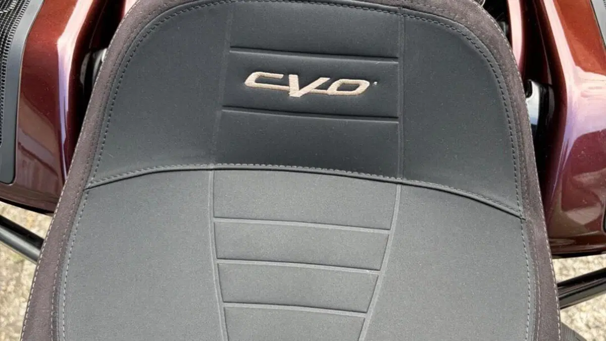 Harley-Davidson CVO Street Glide (2024)  (14)