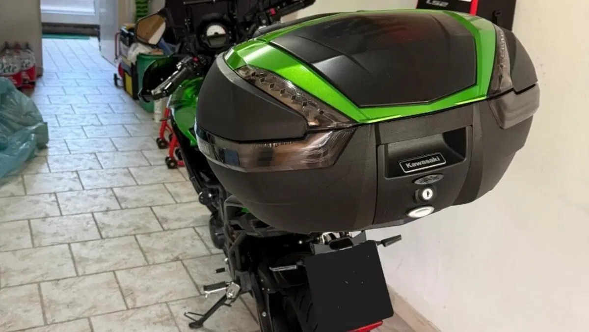 Kawasaki Versys 650 (2017 - 20)  (2)