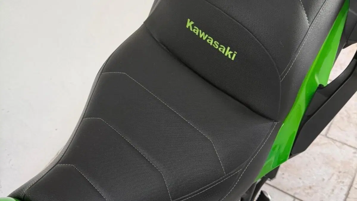 Kawasaki Versys 650 (2017 - 20)  (10)