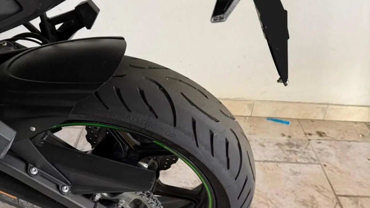 Kawasaki Versys 650 (2017 - 20)  (12)