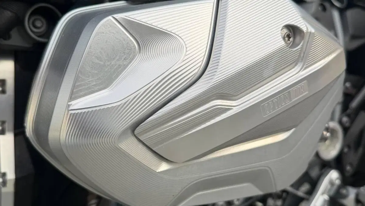 Bmw R 1250 GS (2019 - 20)  (7)