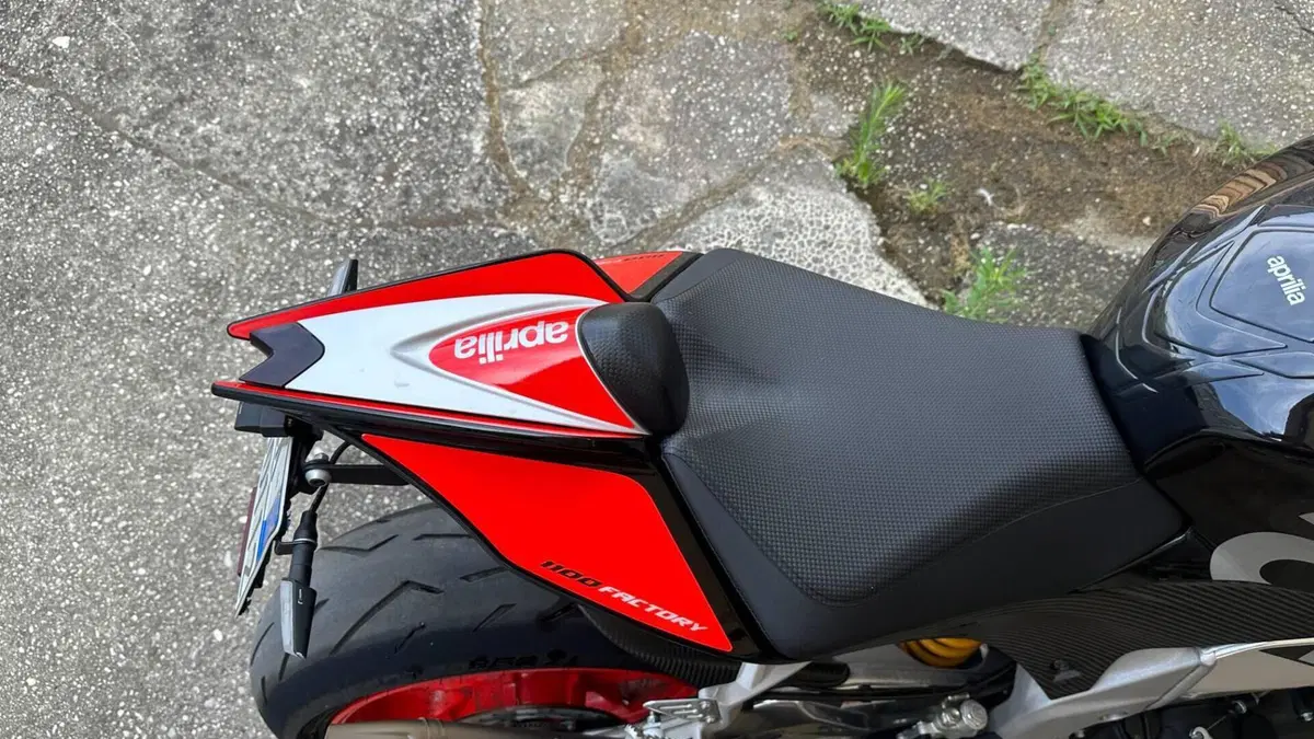Aprilia Tuono V4 Factory (2017 - 18)  (7)