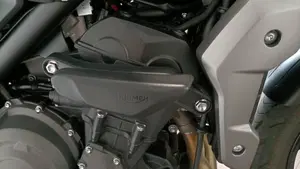 Triumph Trident 660 (2021 - 24)  (11)