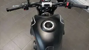 Triumph Trident 660 (2021 - 24)  (12)