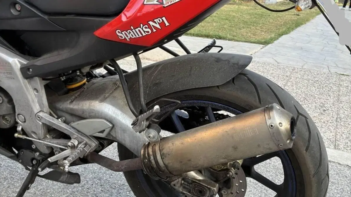 Aprilia RS 125 (2006 - 14)  (5)