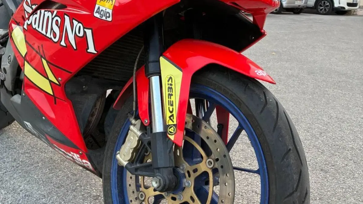 Aprilia RS 125 (2006 - 14)  (4)