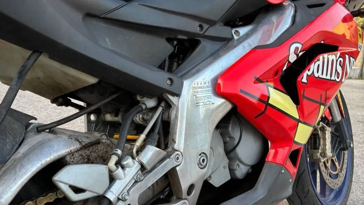 Aprilia RS 125 (2006 - 14)  (6)