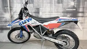 Bmw G 450 X (2010 - 12)  (2)