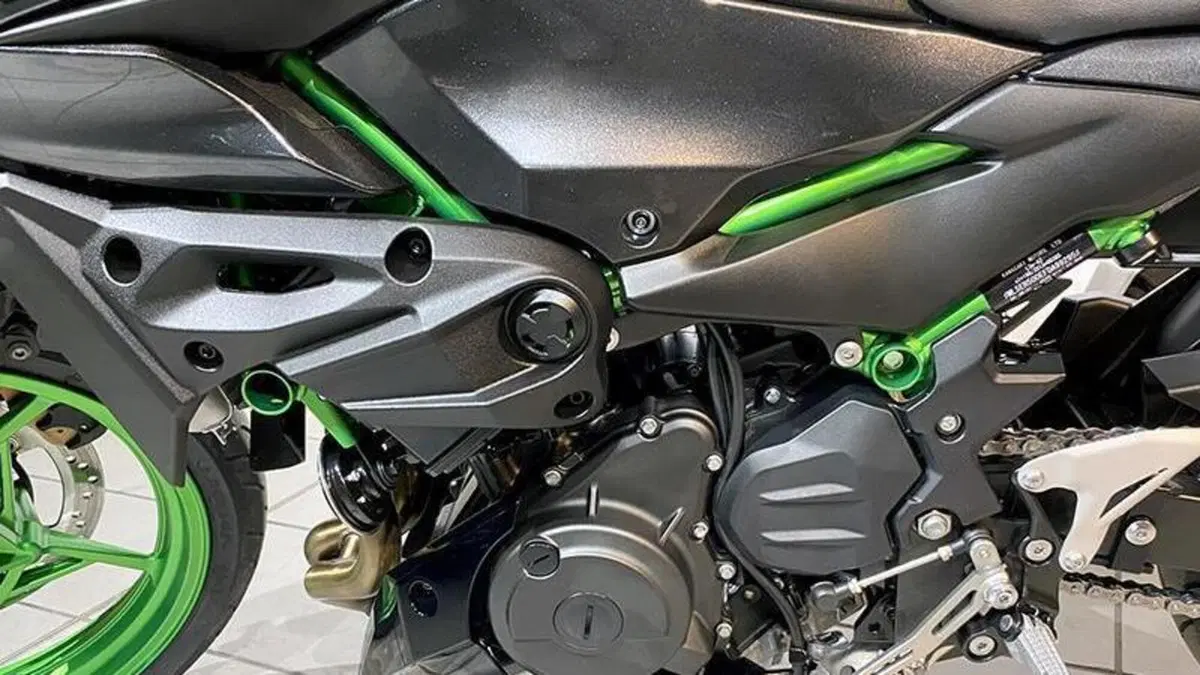 Kawasaki Z 500 SE (2024 - 26)  (6)