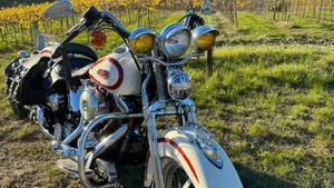 Harley-Davidson 1340 Heritage Springer (1997 - 99) - FLSTS  (2)