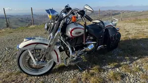 Harley-Davidson 1340 Heritage Springer (1997 - 99) - FLSTS  (3)