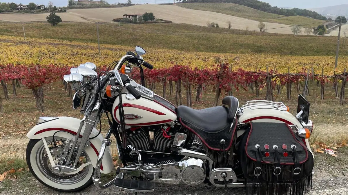 Harley-Davidson 1340 Heritage Springer (1997 - 99) - FLSTS  (5)