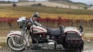 Harley-Davidson 1340 Heritage Springer (1997 - 99) - FLSTS  (5)