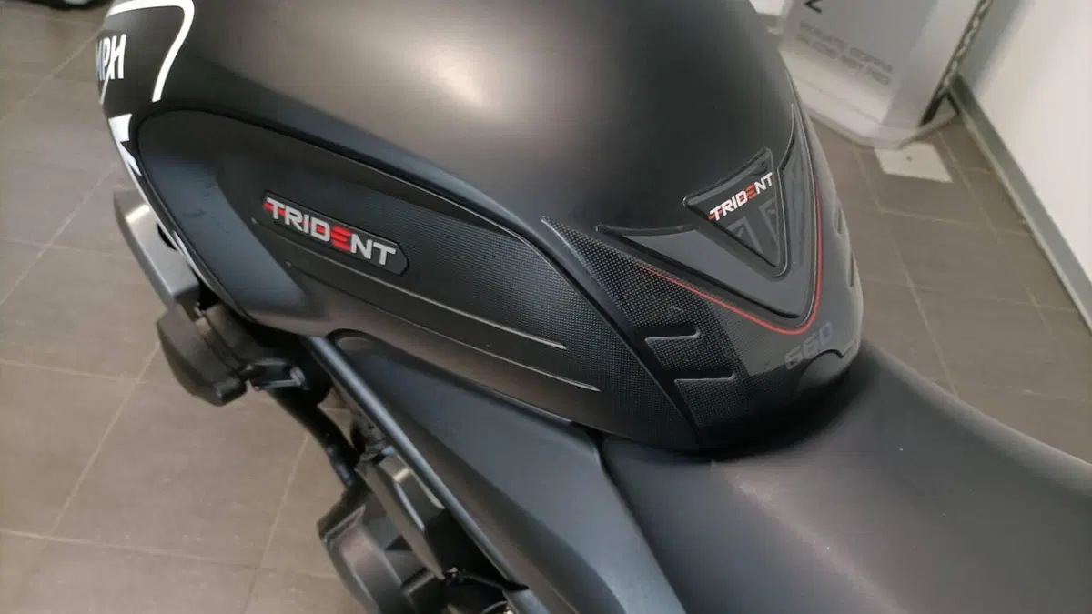 Triumph Trident 660 (2021 - 24)  (7)