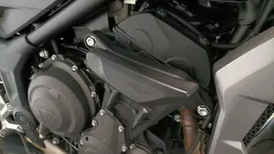 Triumph Trident 660 (2021 - 24)  (10)