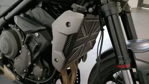 Triumph Trident 660 (2021 - 24)  (13)