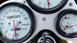 Triumph Speed Triple 955 (1998 - 01)  (3)