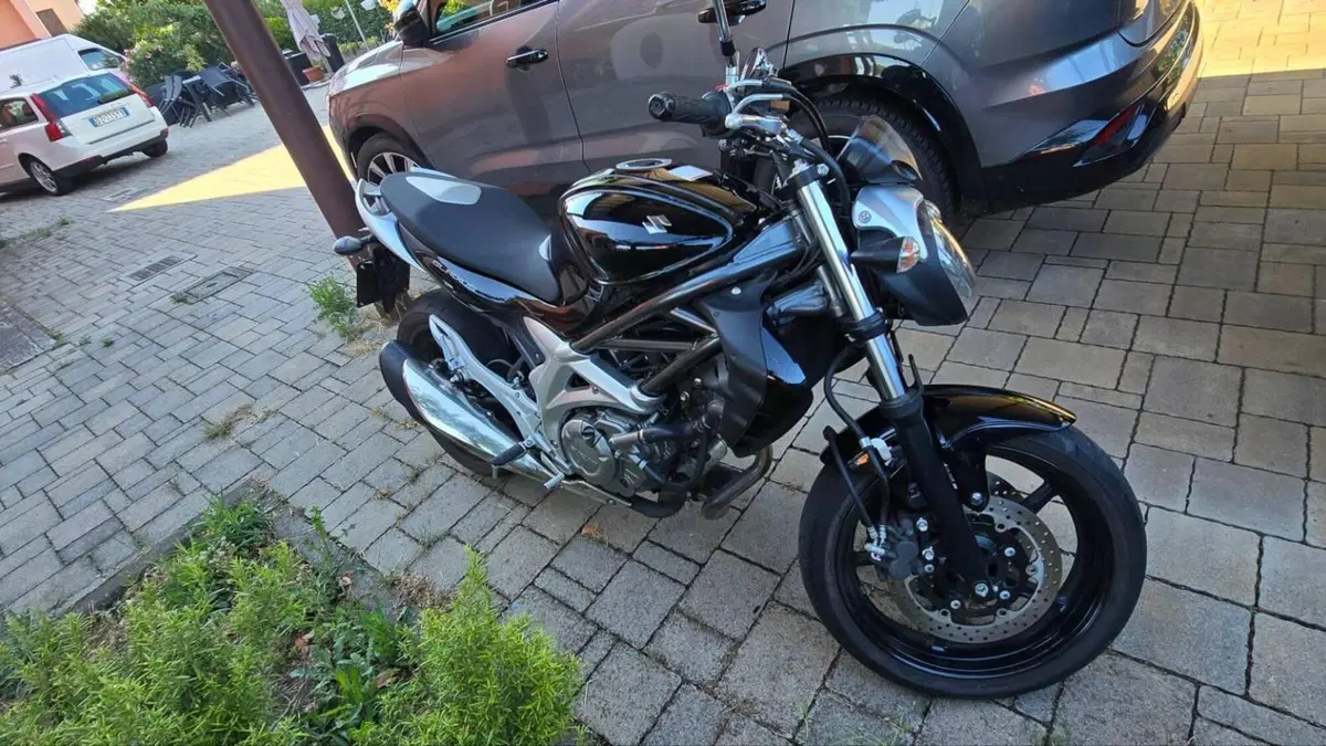 Suzuki Gladius 650 SFV (2009 - 15)  (2)