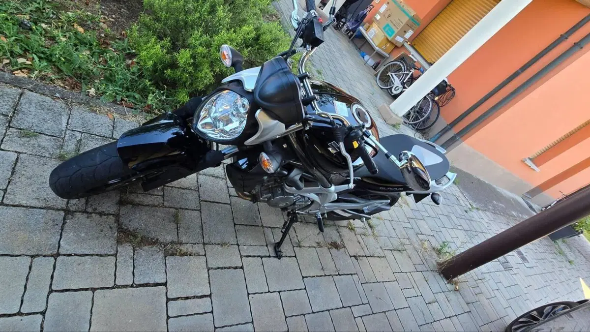 Suzuki Gladius 650 SFV (2009 - 15)  (3)