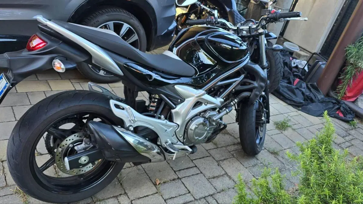 Suzuki Gladius 650 SFV (2009 - 15)  (4)